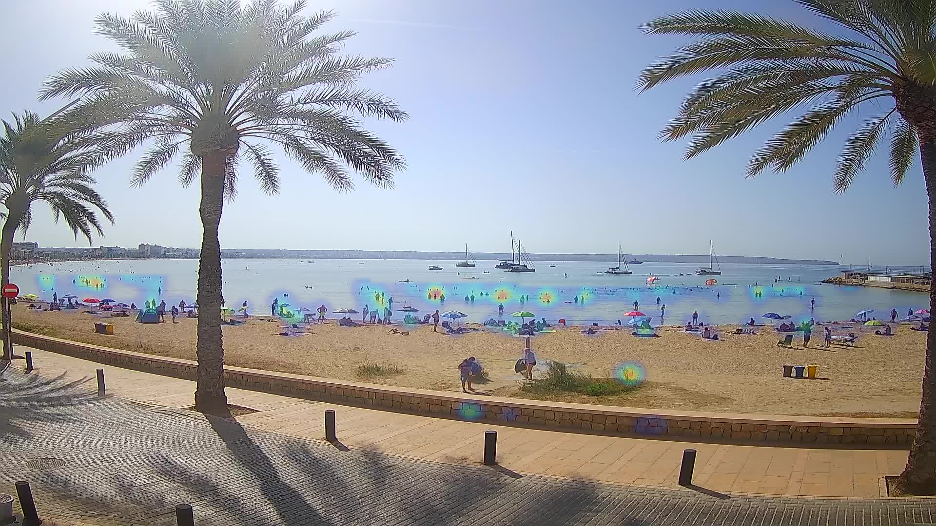 Snapshot Palma - 2026-09-06 09:00:43.624309+00:00